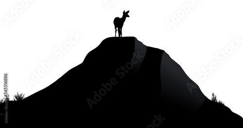 Fototapeta A whitetail deer is seen on a hilltop in a silhouette on a transparent background