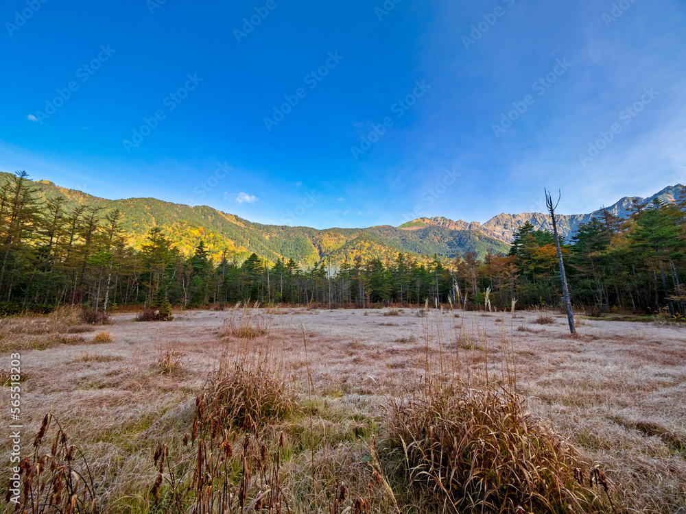 Fototapeta premium 秋の上高地・田代湿原