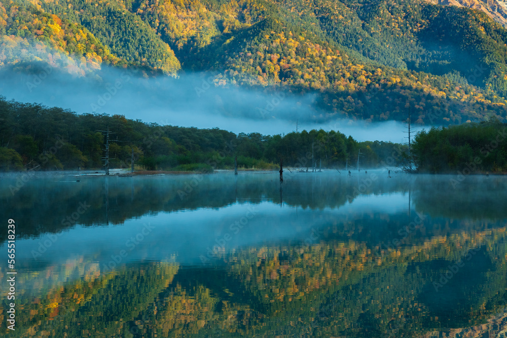 Fototapeta premium 秋の上高地・大正池