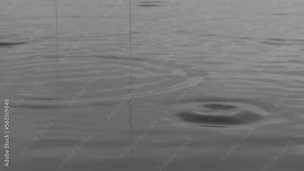 The reflected sky shakes in the raindrops
The reflected sky shakes in the raindrops