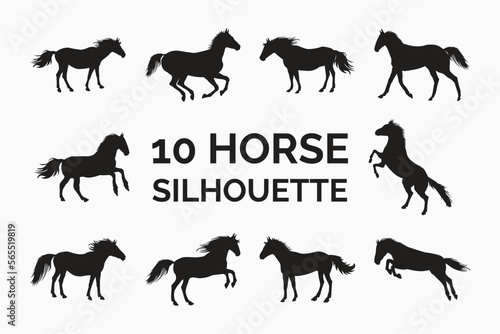 Horse silhouette design on a white background. Realistic horse silhouette vector collection for personal use. Dark knights in different position designs. Horse running  jumping  and standing vectors.