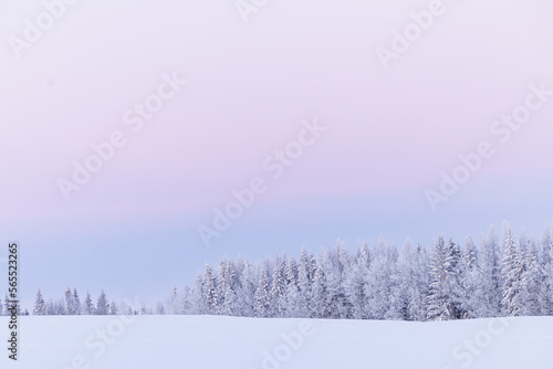 A winter field at sunrise