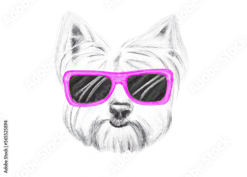 dog in pink sunglasses on an isolated white background. pencil drawing style. Generative AI © bahadirbermekphoto
