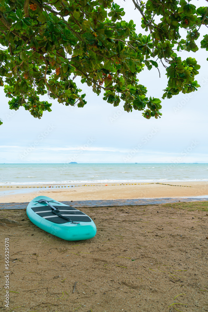 paddle board on beach with sea background