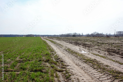 The road to the dol of green fields and trees. Blue sky. The road is unpaved. Landscape. Beautiful picture of the countryside.