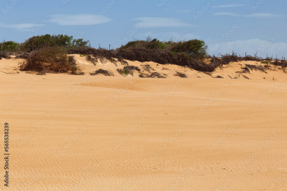 View of the golden sand dunes of the African ocean coast. Morocco.