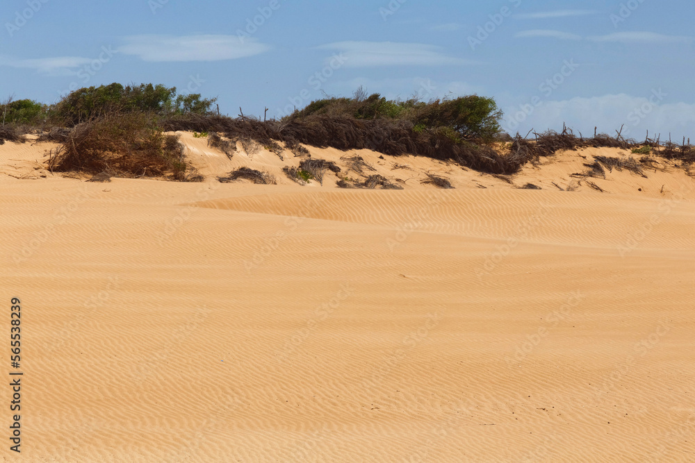 View of the golden sand dunes of the African ocean coast. Morocco. View of the golden sand dunes of the African ocean coast. Morocco.