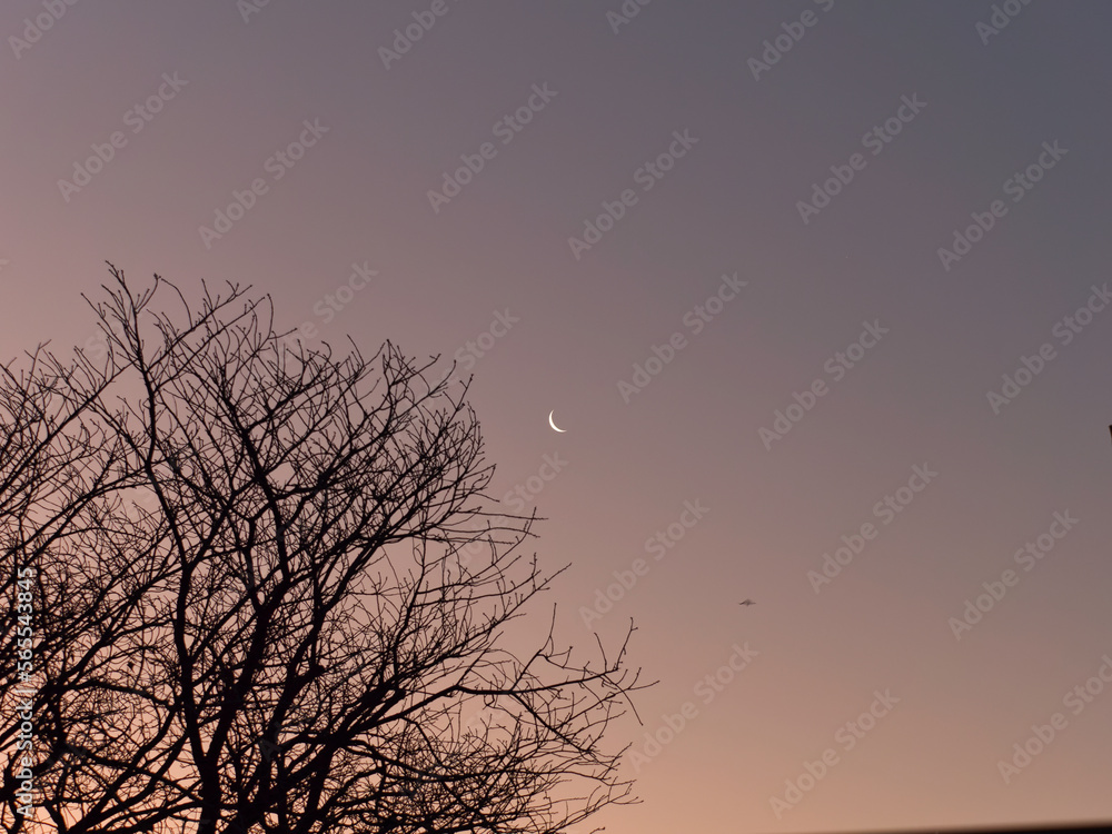 Obraz premium 夜と朝の境目