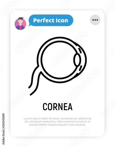 Cornea thin line icon. Structure of human eye. Ophthalmology. Vector illustration.