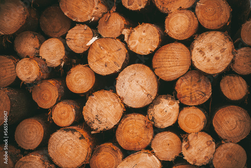 Renewable bio fuel preparation. Winter heating season. Wall of stacked wood logs.