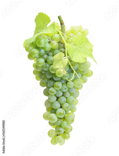 Bunch of green grapes isolated 