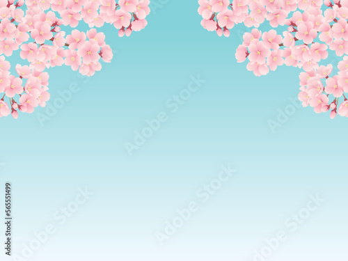 満開の桜とグラデーション背景のイラスト（水色）
