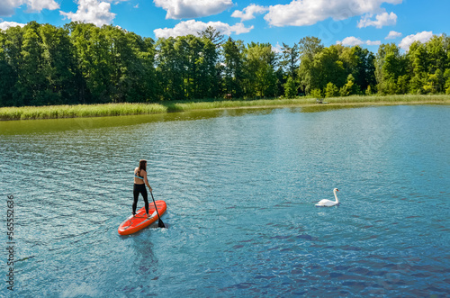 Girl paddling on SUP board near white swan bird on beautiful lake, standing up paddle boarding adventure with wildlife in Germany lake district Mecklenburg 