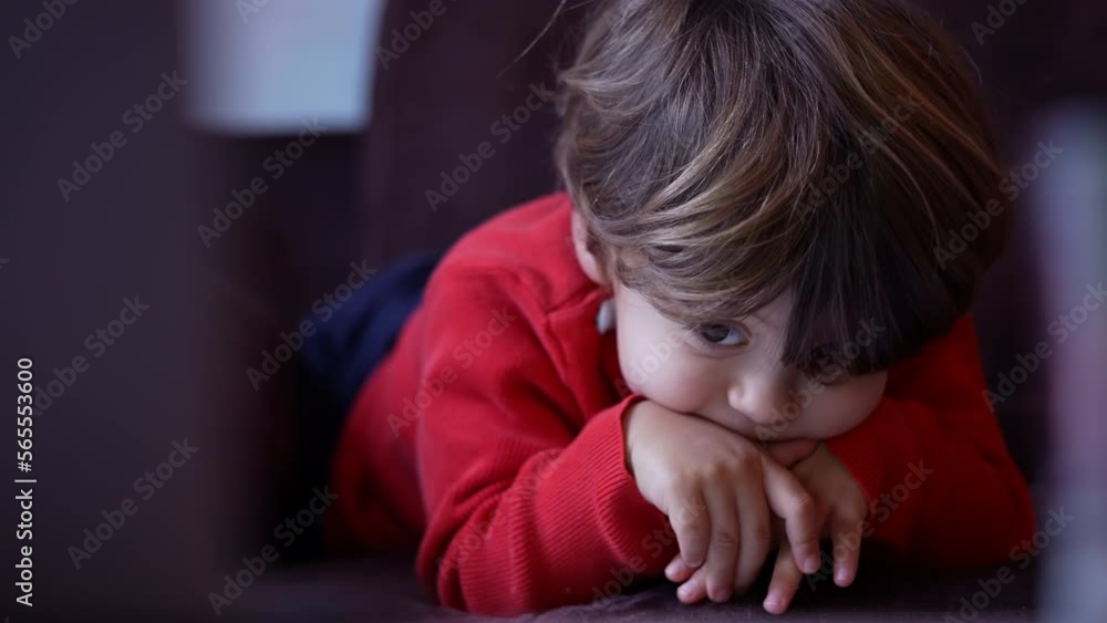 One cute child watching media cartoon lying on sofa at home. Portrait of an adorable male kid with hand in chin staring screen One cute child watching media cartoon lying on sofa at home. Portrait of an adorable male kid with hand in chin staring screen