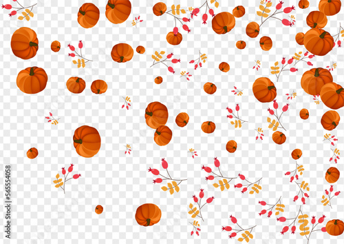 Fototapeta Naklejka Na Ścianę i Meble -  Burgundy Rowan Background Transparent Vector. Red September Illustration. Orange Leaves Happy Texture. Gourd Botanical. Foliage Banner.