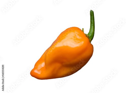 orange chili pepper habanero on isolated background