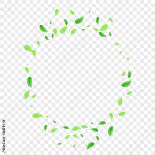 Greenish Vegetation Background Transparent Vector. Plant Label Card. Falling Design. Green Air Frame. Leaves Agriculture.