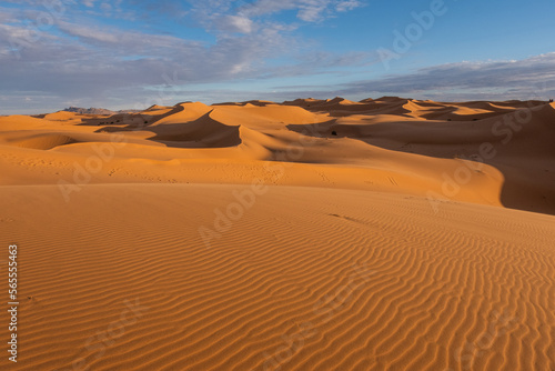 The vast orange dunes of the Sahara desert and its barren vegetation