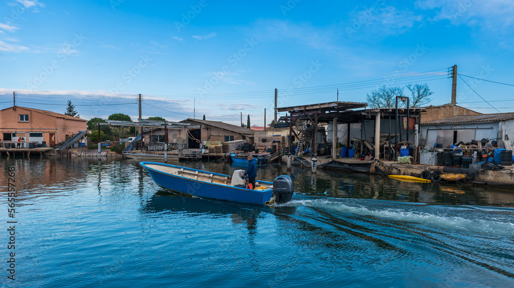 Fototapeta premium A fisherman in a boat, entering the Mourre Blanc near Mèze, Occitanie, France