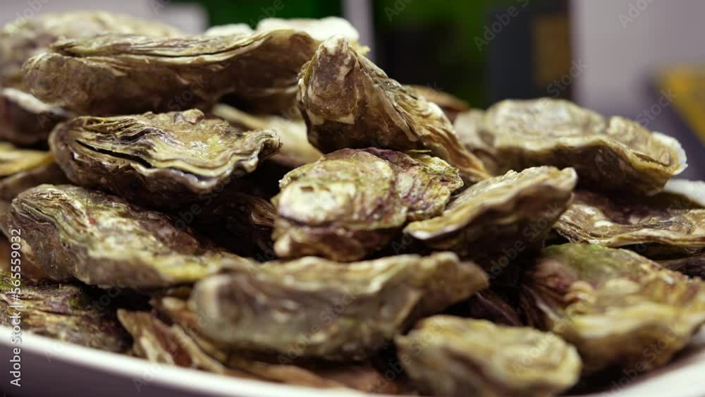 Many oysters piled on plate. Sea food closed oyster Many oysters piled on plate. Sea food closed oyster