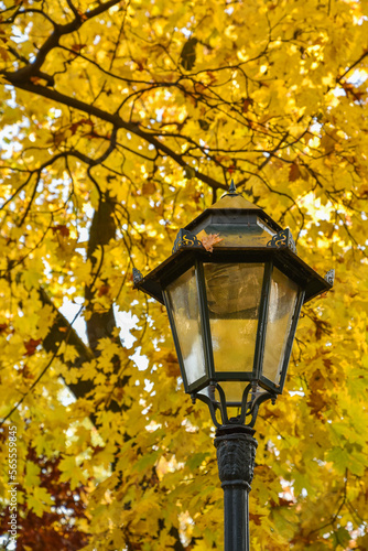 Traditional lantern with autumn leaves in the background