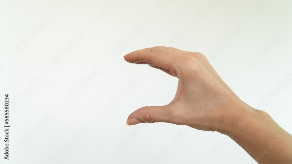 Hand holding an object, holding a sandwich, showing size Hand holding an object, holding a sandwich, showing size