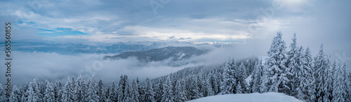 Allgäuer Winterlandschaft an einem bedeckten Tag © Gerhard