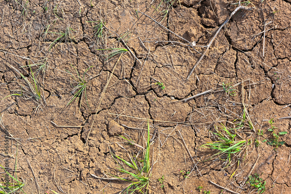 Dry mud cracked ground texture. Drought season background. Dry and cracked land, dry due to lack of rain. Effects of climate change. Dry mud cracked ground texture. Drought season background. Dry and cracked land, dry due to lack of rain. Effects of climate change.