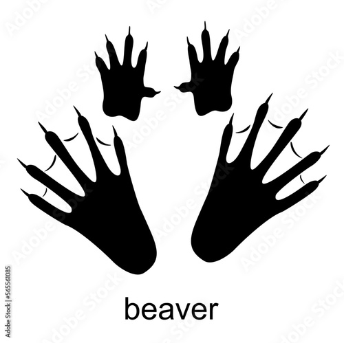 Beaver track, beaver footprint. Ink, silhouette Vector illustration isolated on white background