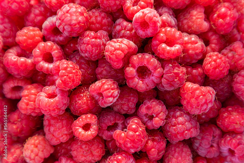 Wild raspberries heap - raspberry detail Wild raspberries heap - raspberry detail