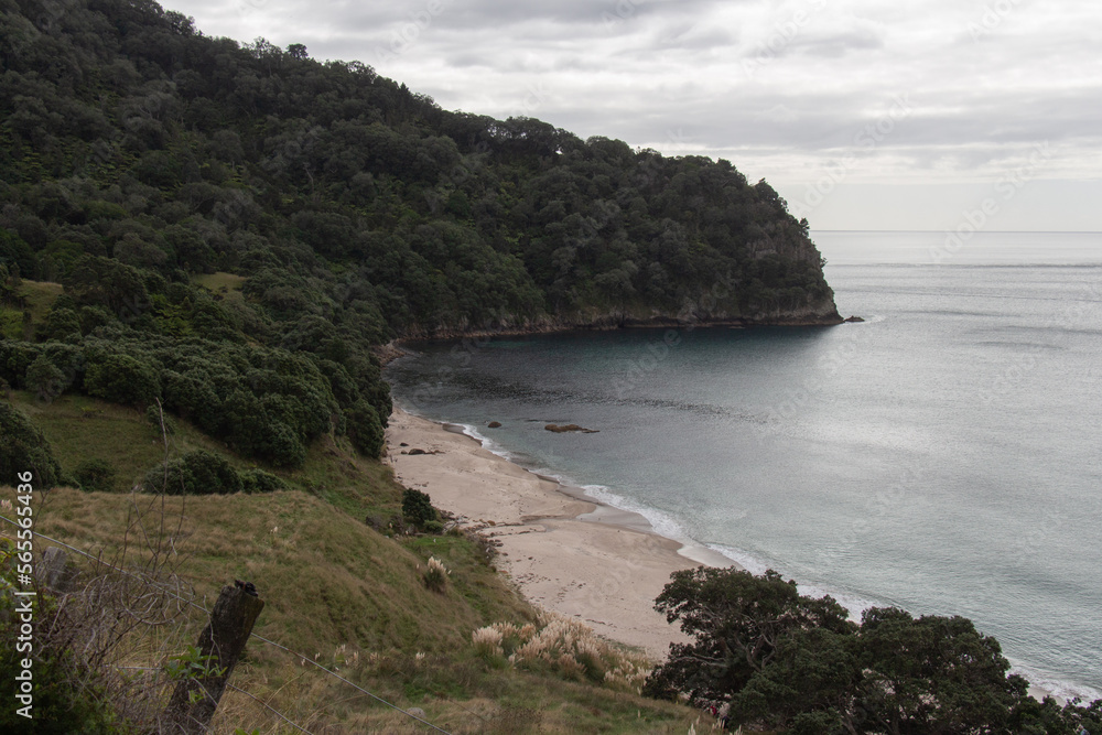 Coastline of Homunga Bay, Waikato region, New Zealand.