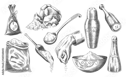 Sea salt sketch set. Hand draw spice, vintage sea powder. Food ingredients to cook, isolated coloring vector illustration