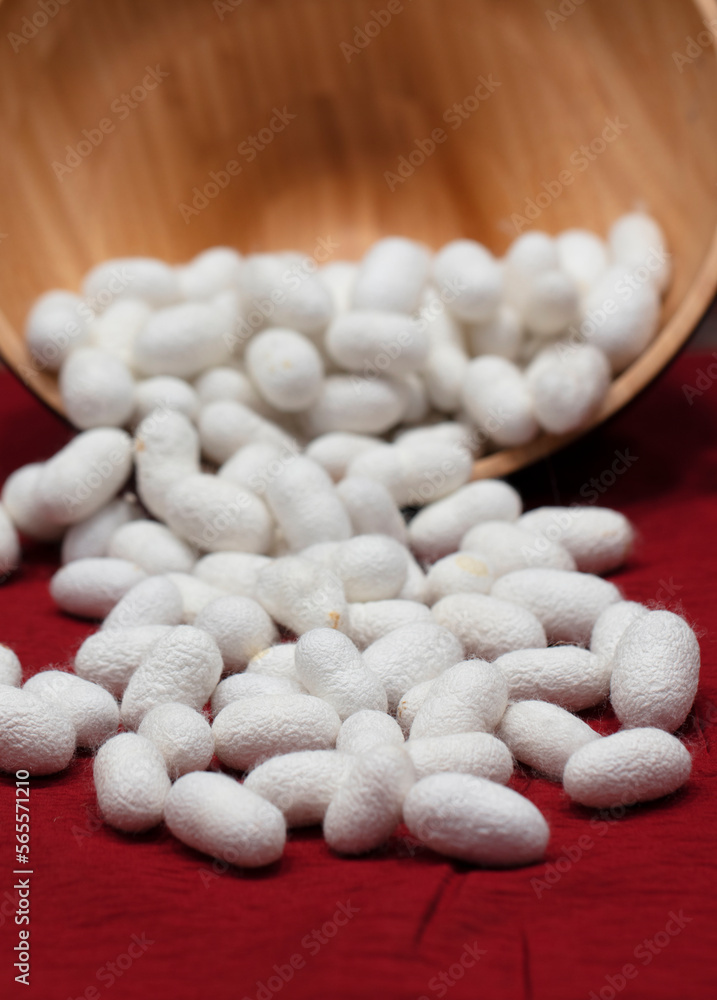 Silkworm nets for background, a source of silk thread and silk fabric - Image Silkworm nets for background, a source of silk thread and silk fabric - Image