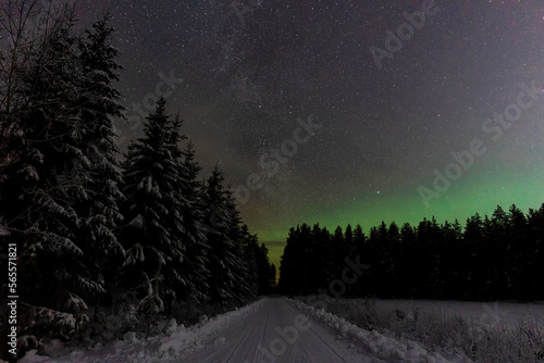 winter landscape with snow covered trees and northern lights  © Lena