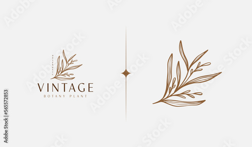 Abstract Plant Botanical Flower Line Art Line Drawing. Universal creative premium symbol. Vector illustration. Creative Minimal design template