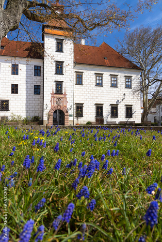 Trebon castle and town, Southern Bohemia, Czech Republic © Richard Semik