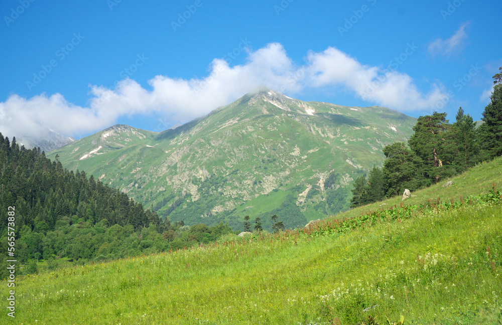 Green summer mountain at day. Green summer mountain at day.
