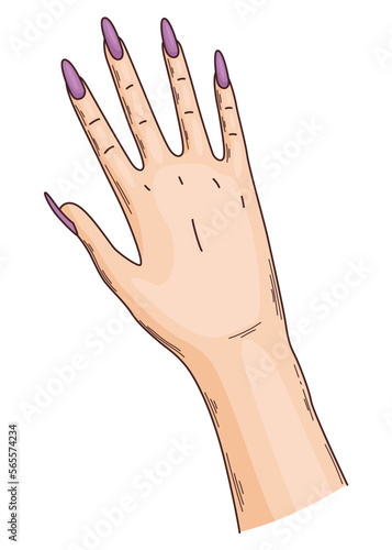 Manicure of nails. Female hand. Element for banner or business card of beauty salon, manicurist isolated on white background