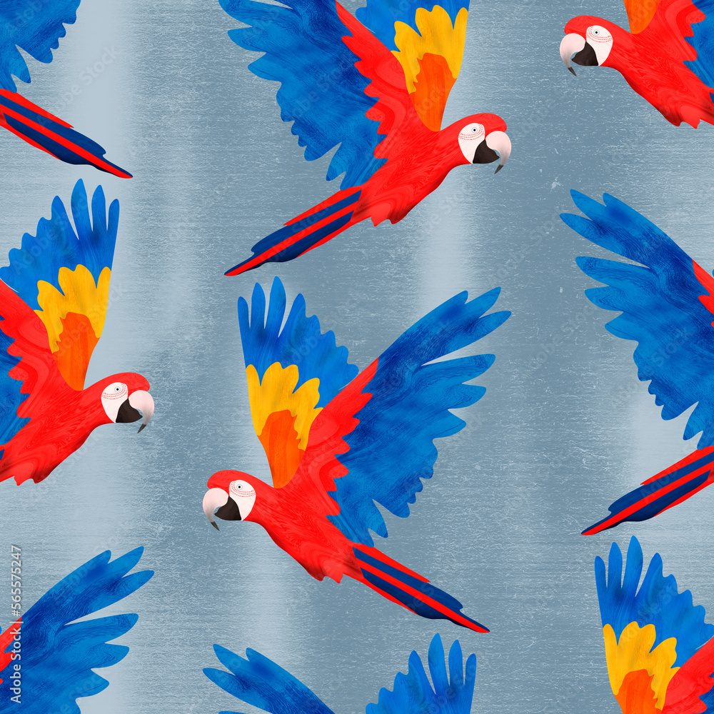 Scarlet macaws with blue background