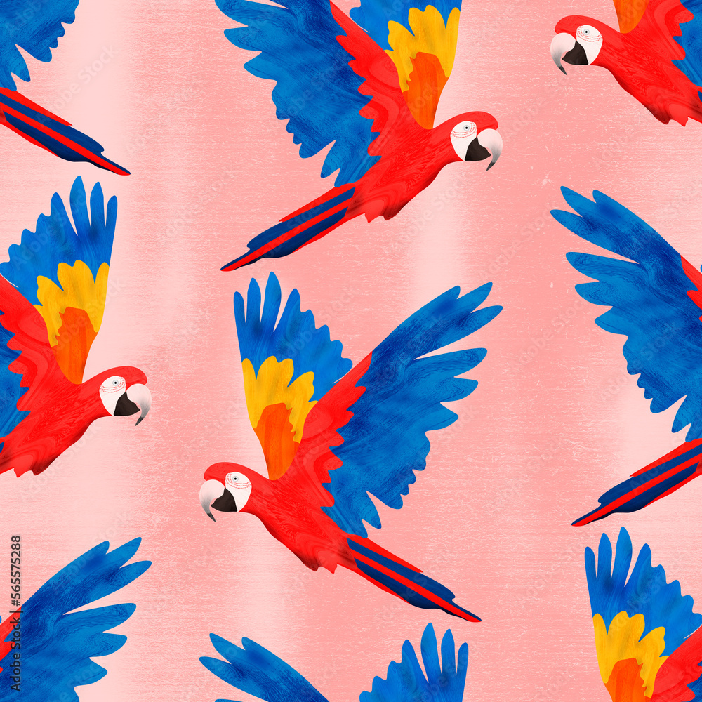 Scarlet macaws with pink background