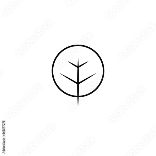 tree isometric thin line icon. Linear vector illustration. Pictogram isolated on white background
