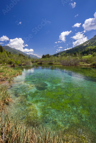 Spring landscape in Zelenci, Slovenia