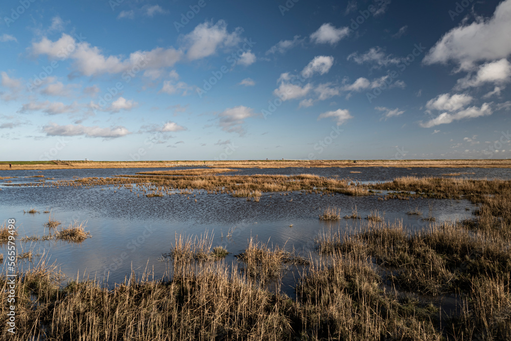 Langwarder Groden Budjadingen