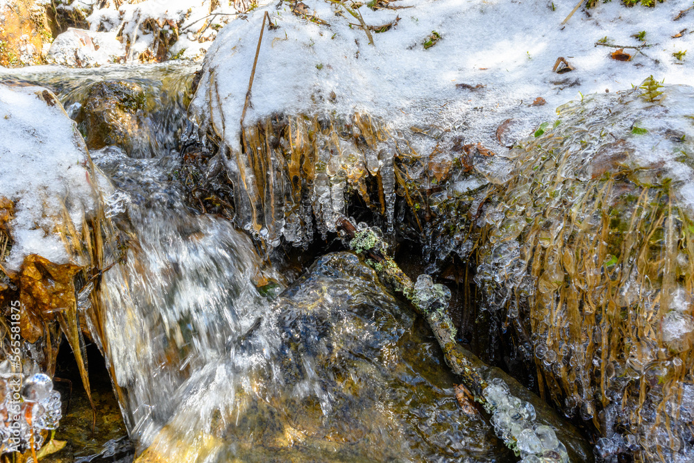 Fototapeta premium South Ural rough stream with a unique landscape, vegetation and diversity of nature.