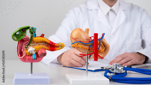 Tableau sur toile pancreas mockup on work desk of doctor