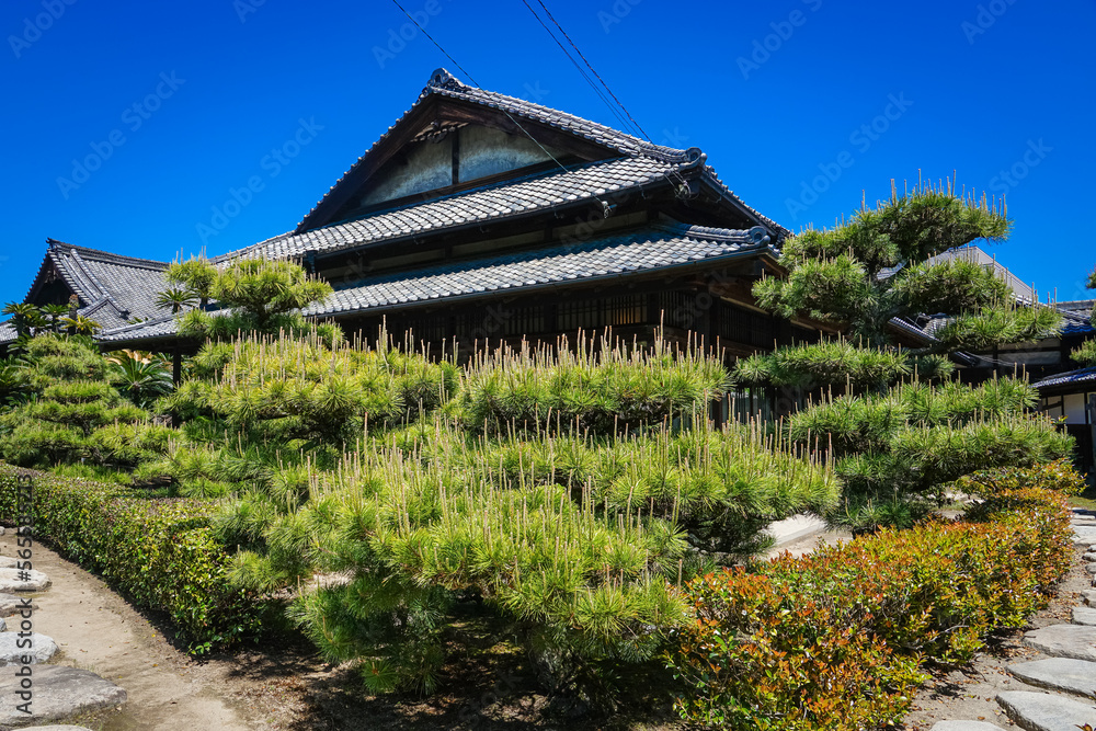 春の高松城玉藻公園 披雲閣庭園(香川県高松市) 春の高松城玉藻公園 披雲閣庭園(香川県高松市)
