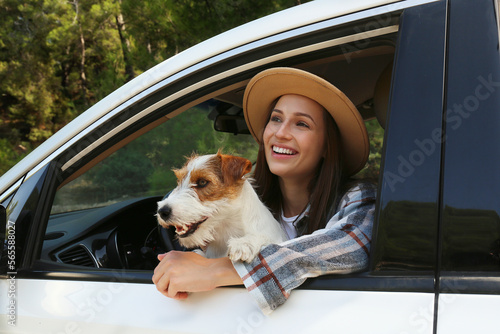 Beautiful young woman in the car with her adorable rough coated pup. Smiling female sitting in the driver seat with her jack russel terrier and looking out the window. Close up, copy space, background © Evrymmnt