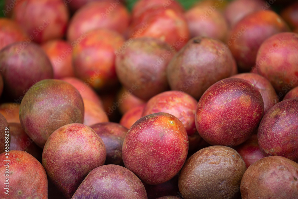 Passionfruit fruits close-up as a background. Bunch of tropical fruits harvesting. Passionfruit fruits close-up as a background. Bunch of tropical fruits harvesting.