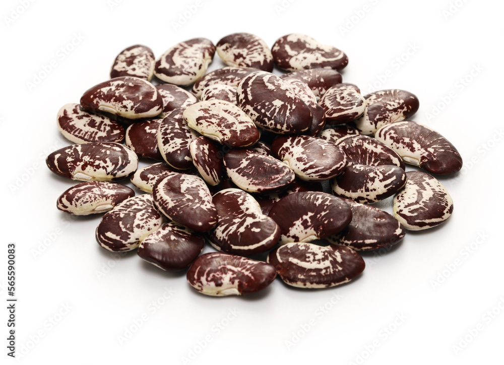 raw garrofon beans (pintat), an essential ingredient of Valencian paella raw garrofon beans (pintat), an essential ingredient of Valencian paella
