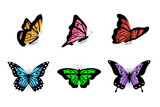 Butterflies, tropical insects flying vector set. Red, pink, green, blue, violet and yellow bugs illustration for biology, entomology magazine. Wildlife and nature. Design elements for scrapbook